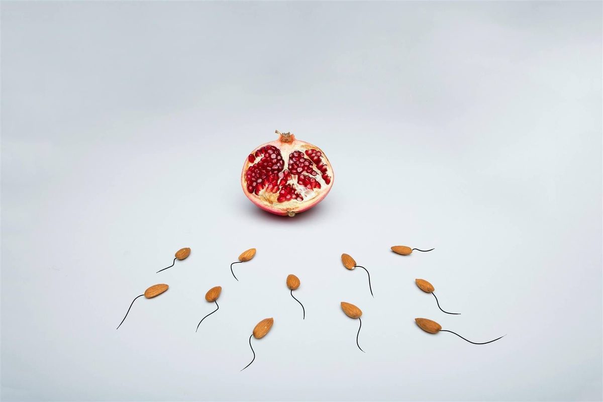 Sperm Specimens Transport