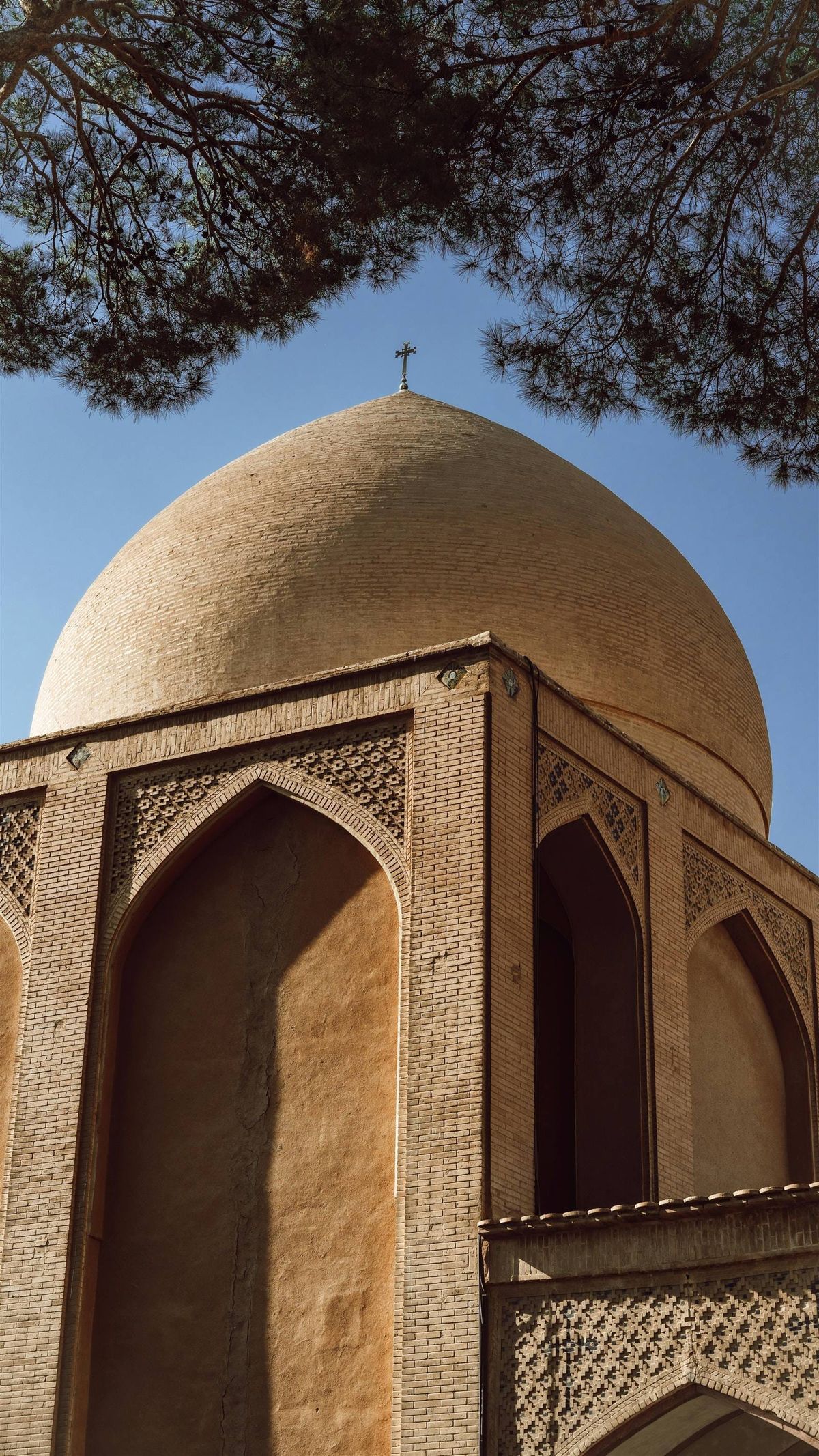 Embryo courier UK to Iran